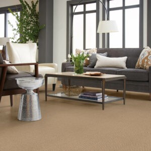 Living room Carpet flooring | Carpet Collection