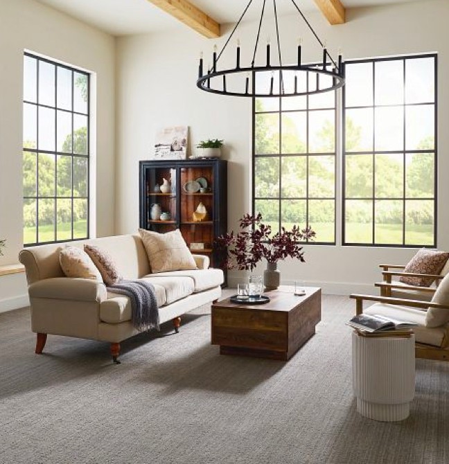Living room Carpet | Carpet Collection