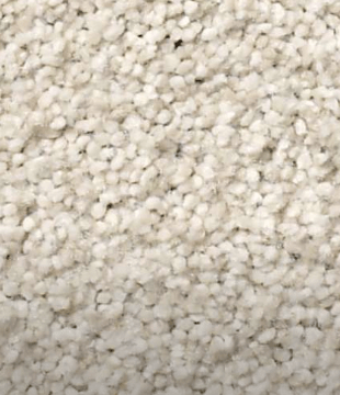 Carpet | Carpet Collection