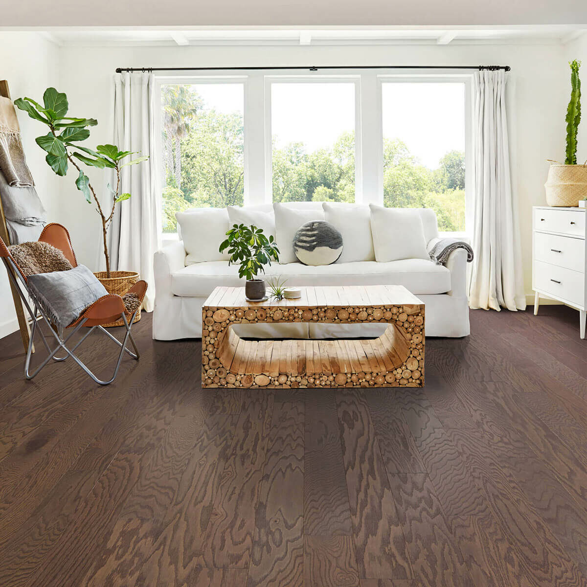 Hardwood flooring | Carpet Collection